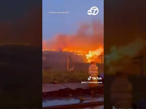 Harrowing video shows people in pool as Maui fires raged all around