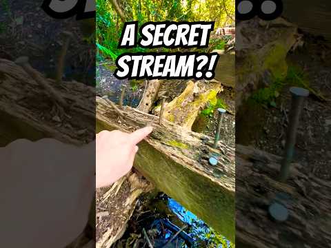 I found a Secret Stream, thanks to the Geocaching app - I love discovering hidden gems like this!